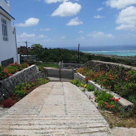 O Bercail Du Sud-Hibiscus Chez Jeannette Villa Saint Gabriel Ngoại thất bức ảnh